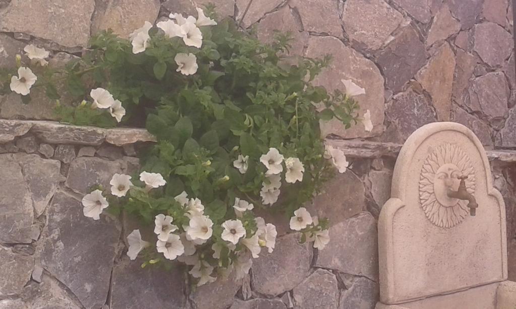 Dreams Guest House La Spezia Exterior foto